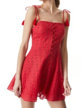 Alice and Olivia summer dress